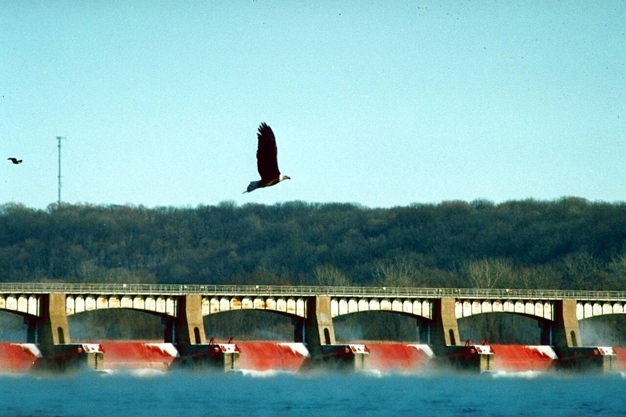 Lock and Dam 14 located on the Mississippi River, Le Claire, Iowa, USA. During the winter season the Lock and Dam area is home to many bald eagles.