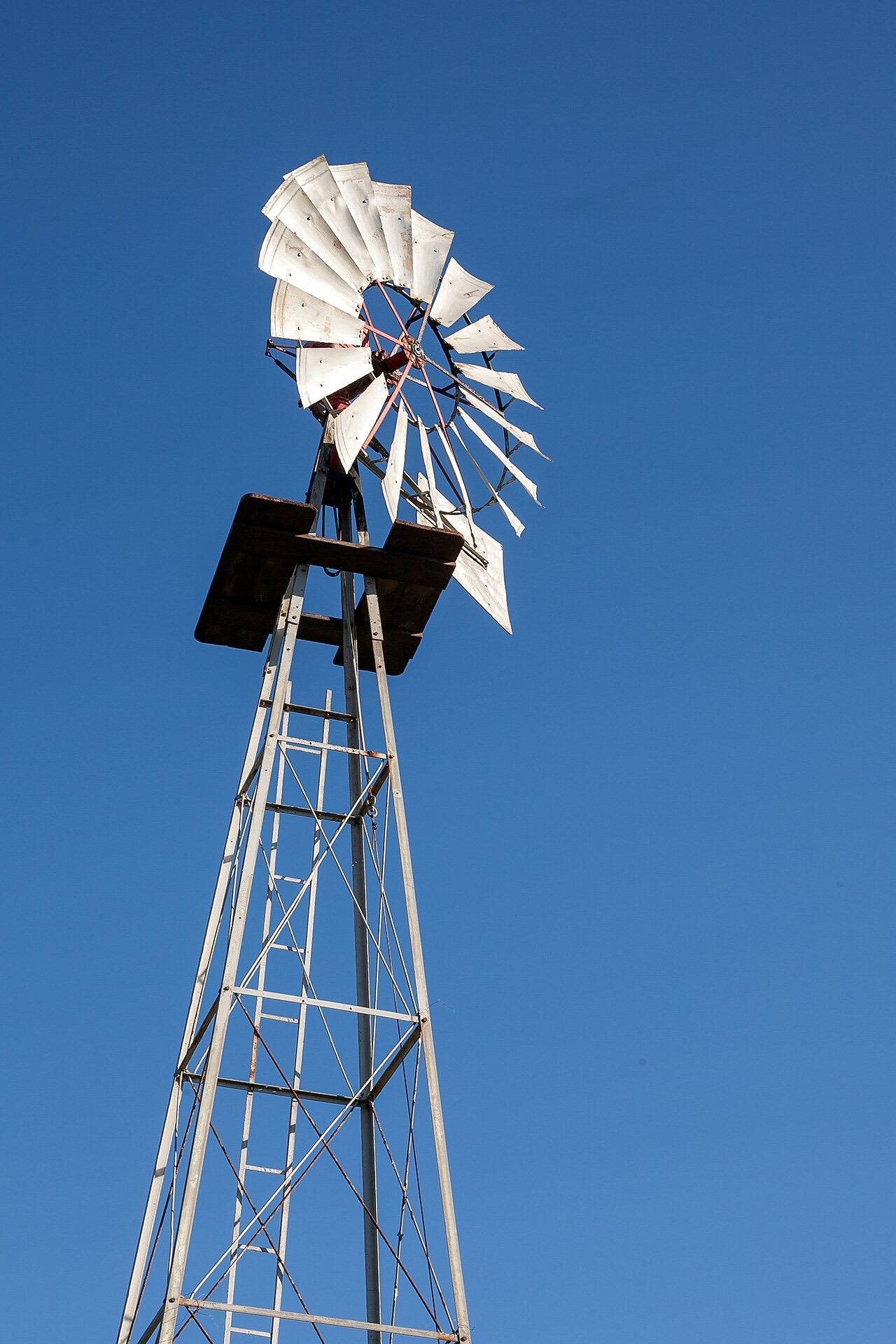 Tall Water Pumping Windmill